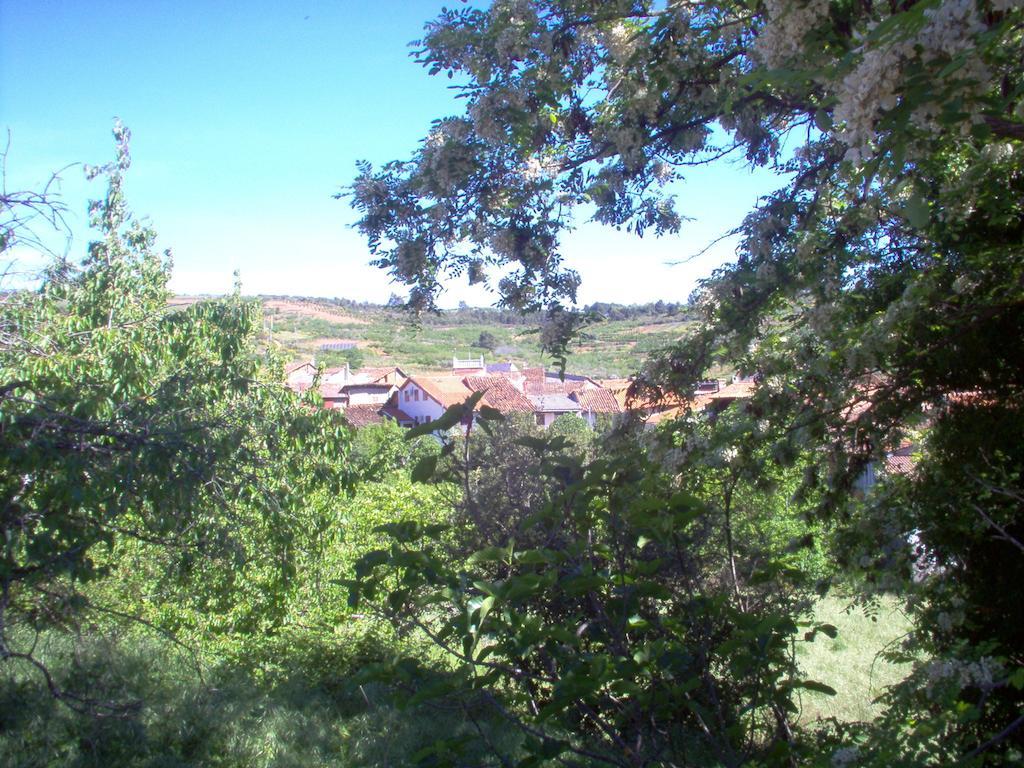 Apartamento El Dragon Serrano Sotoserrano Exteriér fotografie